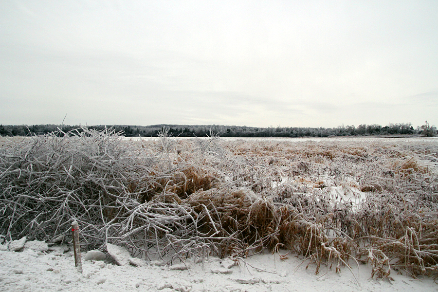 Ice Storm Ontario 2013